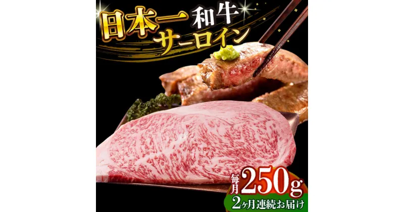 【ふるさと納税】【全2回定期便】【A4〜A5】長崎和牛サーロインステーキ　250g（250g×1枚）【株式会社 MEAT PLUS】[DBS081]