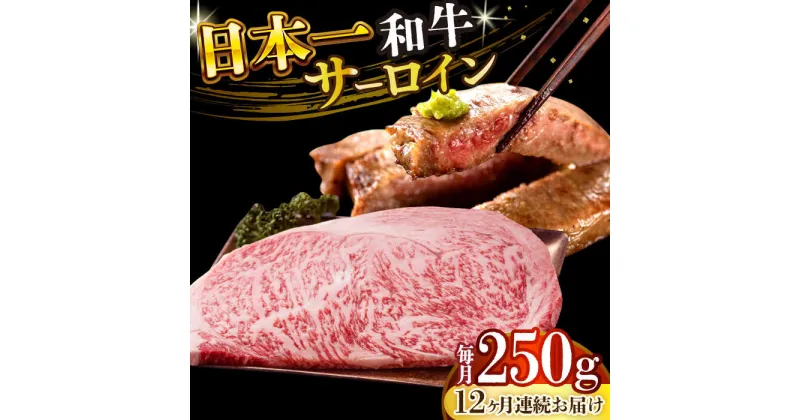 【ふるさと納税】【全12回定期便】【A4〜A5】長崎和牛サーロインステーキ　250g（250g×1枚）【株式会社 MEAT PLUS】[DBS084]