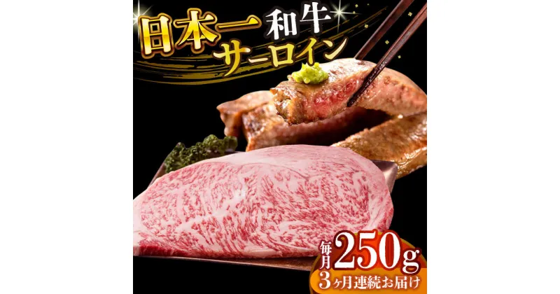 【ふるさと納税】【全3回定期便】【A4〜A5】長崎和牛サーロインステーキ　250g（250g×1枚）【株式会社 MEAT PLUS】[DBS082]