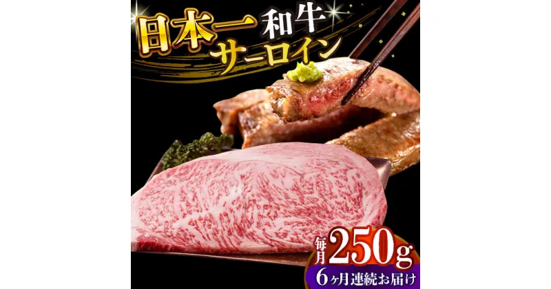 【ふるさと納税】【全6回定期便】【A4〜A5】長崎和牛サーロインステーキ　250g（250g×1枚）【株式会社 MEAT PLUS】[DBS083]