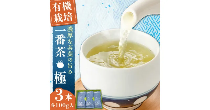 【ふるさと納税】【1番茶の濃厚な旨味！】さざの 有機栽培茶 極 100g×3本【宝緑園】 [QAH005] 緑茶 煎茶 お茶 茶葉 日本茶 オーガニック 有機栽培 ギフト 贈答 プレゼント エコファーマー 2万2千円 22000円