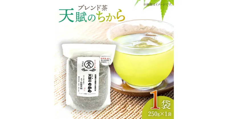 【ふるさと納税】【自然のパワーで健康に】 ブレンド茶 「天賦のちから」 250g×1袋【上ノ原製茶園】 [QAO022] 緑茶 ブレンド お茶 茶葉 健康茶 日本茶 釜炒り茶 希少 贈り物 ギフト プレゼント 9千円 9000円 1万円 10000円 以下