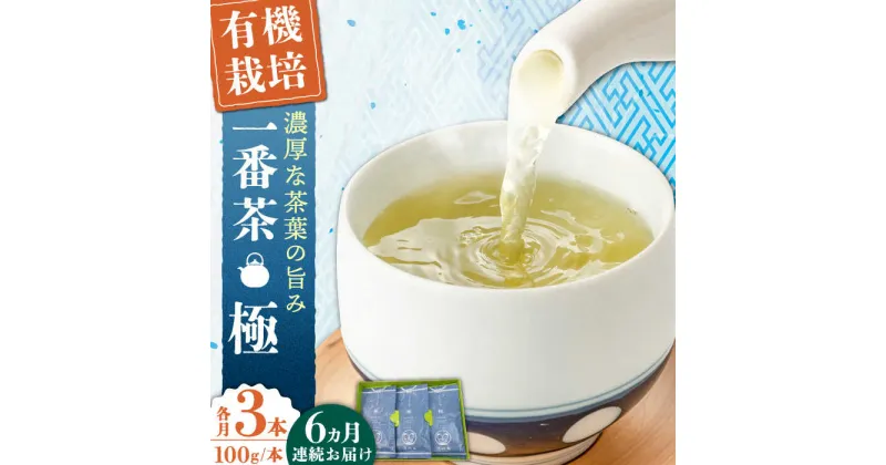 【ふるさと納税】【全6回定期便】「1番茶の濃厚な旨味！」さざの 有機栽培茶 極 （100g×3本/回）【宝緑園】 [QAH023] 緑茶 煎茶 お茶 茶葉 日本茶 オーガニック 有機栽培 ギフト 贈答 プレゼント エコファーマー