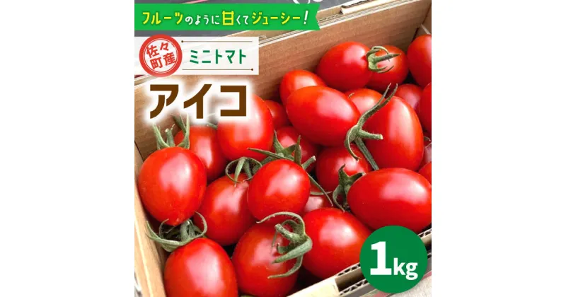 【先行予約】【ふるさと納税】【甘くてジューシー】ミニトマト アイコ 約1.0kg【C&T farm】 [QBG001]トマト フルーツトマト アイコトマト 野菜 トマトジュース 8000円 8千円 1万円以下