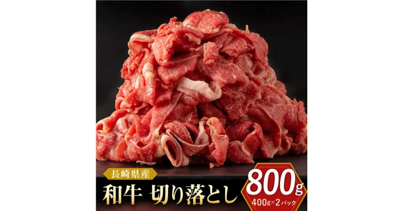 【ふるさと納税】長崎県産 和牛 切り落とし 800g（400g×2パック）【合同会社肉のマルシン】[QBN001] 国産 肉 和牛 牛肉 人気 しゃぶしゃぶ すき焼き 焼肉 焼き肉 BBQ バーベキュー キャンプ 霜降り ランチ 丼 さざちょう おすすめ 12,000 1万2千円