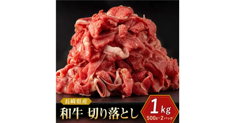 【ふるさと納税】長崎県産 和牛 切り落とし 1kg（500g×2パック)【合同会社肉のマルシン】[QBN002] 国産 肉 和牛 牛肉 人気 しゃぶしゃぶ すき焼き 焼肉 焼き肉 BBQ バーベキュー キャンプ 霜降り ランチ 丼 さざちょう おすすめ 14,000 1万4千円