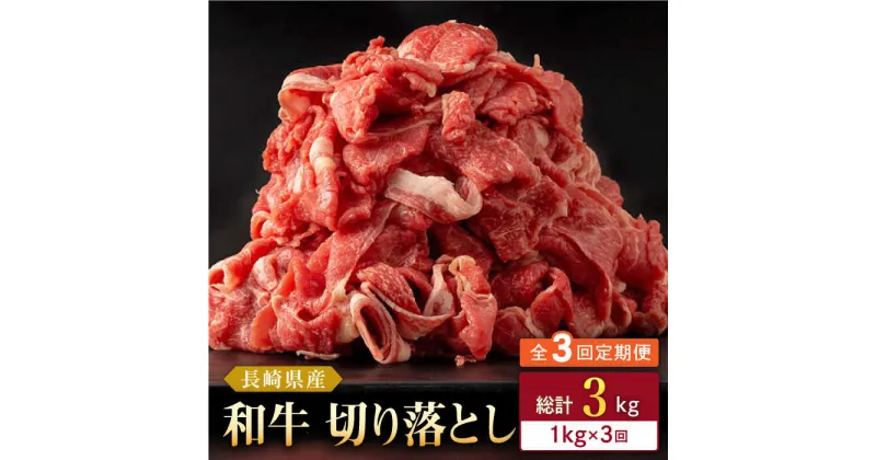 【ふるさと納税】【全3回定期便】長崎県産 和牛 切り落とし 1kg(500g×2パック) 【合同会社肉のマルシン】[QBN037]