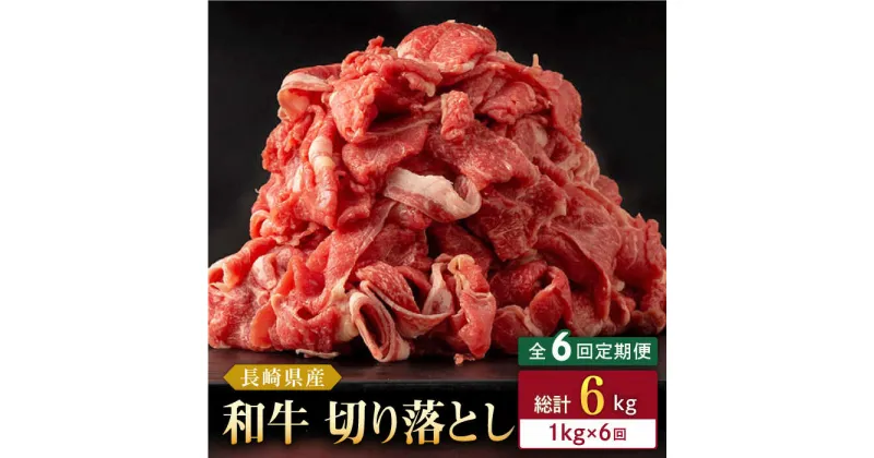 【ふるさと納税】【全6回定期便】長崎県産 和牛 切り落とし 1kg(500g×2パック) 【合同会社肉のマルシン】[QBN038]