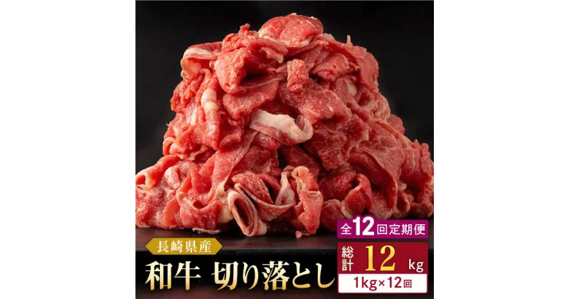 【ふるさと納税】【全12回定期便】長崎県産 和牛 切り落とし 1kg(500g×2パック) 【合同会社肉のマルシン】[QBN039]