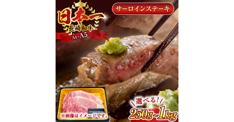 【ふるさと納税】【A4～A5】長崎和牛サーロインステーキ　(250g or 500g or 1kg）【株式会社 MEAT PLUS】[QBS013] 長崎 長崎和牛 牛肉 肉 サーロイン ステーキ 選べる容量 贅沢 a4 a5 冷凍