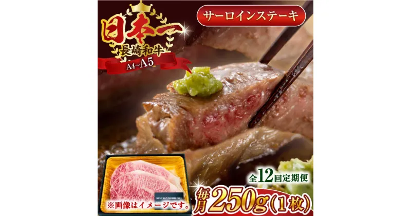 【ふるさと納税】【全12回定期便】【A4～A5】長崎和牛サーロインステーキ　250g（250g×1枚）【株式会社 MEAT PLUS】[QBS071]