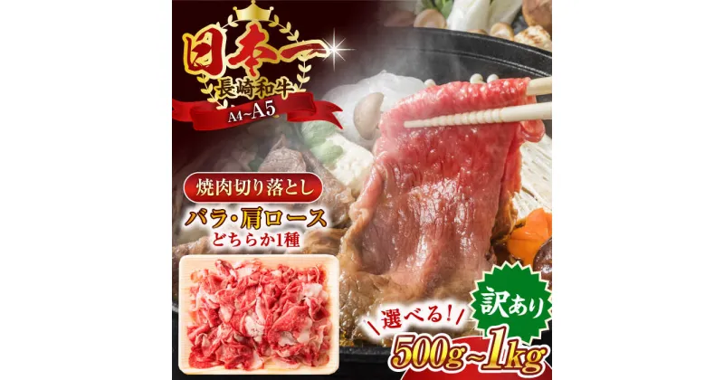 【ふるさと納税】【訳あり】【A4～A5】長崎和牛焼肉切り落とし(肩ロース・バラ）(500g or 1kg)【株式会社 MEAT PLUS】[QBS003] 和牛 長崎和牛 焼き肉 焼肉 牛肉 国産 訳アリ わけあり 切り落し きりおとし a4 a5 やきにく 選べる 容量