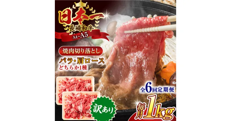 【ふるさと納税】【全6回定期便】【訳あり】【A4〜A5】長崎和牛焼肉切り落とし(肩ロース・バラ）　1kg（500g×2p）【株式会社 MEAT PLUS】[QBS043]