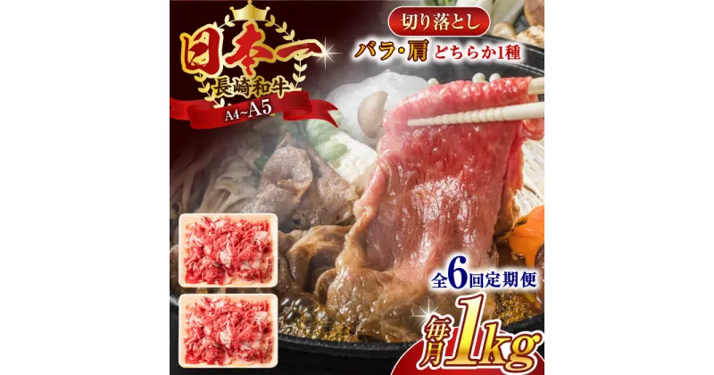 【ふるさと納税】【全6回定期便】【A4〜A5】長崎和牛切り落とし　1kg(500g×2p）【株式会社 MEAT PLUS】[QBS049]