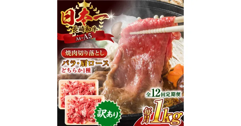 【ふるさと納税】【全12回定期便】【訳あり】【A4〜A5】長崎和牛焼肉切り落とし(肩ロース・バラ）　1kg（500g×2p）【株式会社 MEAT PLUS】[QBS044]