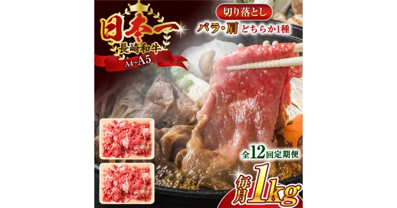 【ふるさと納税】【全12回定期便】【A4〜A5】長崎和牛切り落とし　1kg(500g×2p）【株式会社 MEAT PLUS】[QBS050]