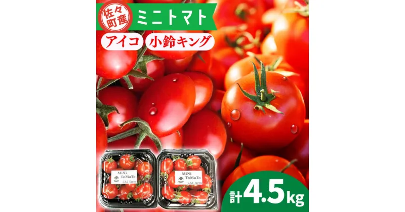 【ふるさと納税】【先行予約】ミニトマト アイコ＆小鈴キング 総計4.5kg【C&T farm】[QBG004]