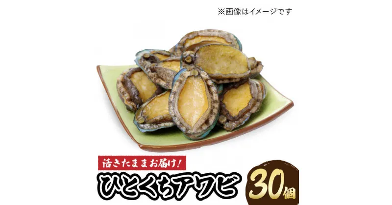 【ふるさと納税】【小ぶりで料理に使いやすい！】 上五島産 養殖 ひとくち アワビ 厳選 30個【豊建設株式会社】 [RAE002]