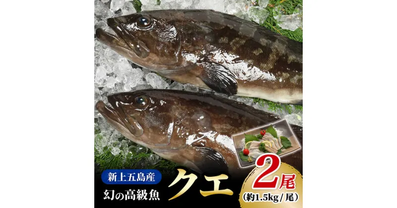 【ふるさと納税】【幻の超高級魚をご家庭で】 養殖 クエ まるごと 1.5kg×2尾【豊建設株式会社】 [RAE003]