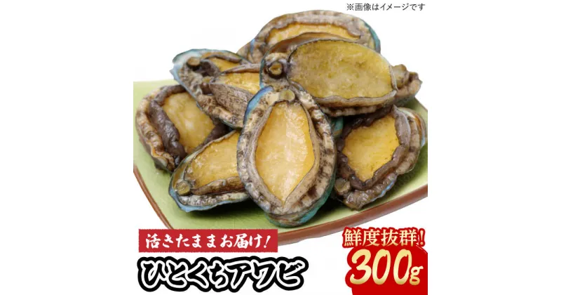 【ふるさと納税】【小ぶりで料理に使いやすい！】 上五島産 養殖 ひとくち アワビ 厳選 300g【豊建設株式会社】 [RAE005]