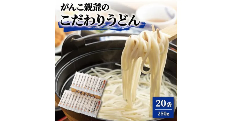 【ふるさと納税】【大容量！強いコシ！】がんこ親爺のこだわりうどん 250g×20袋 五島うどん うどん 乾麺 麺 保存食 業務用 大容量 【中本製麺】 [RAO011]