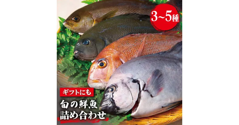 【ふるさと納税】旬の鮮魚 詰め合わせ セット 3～5種類【松園水産】 [RBO011]