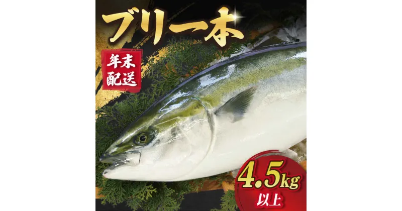 【ふるさと納税】【12/27～12/31お届け】【着日指定必須】【人気ランキング1位獲得！】 上五島産 ブリ 一本（4.5kg以上）【徳丸】 [RAC001] ぶり ブリ 鰤 ぶりしゃぶ 刺身 鮮魚 海鮮 魚 国産 年末 正月 年内配送 鍋 日付指定 年内発送 年末配送