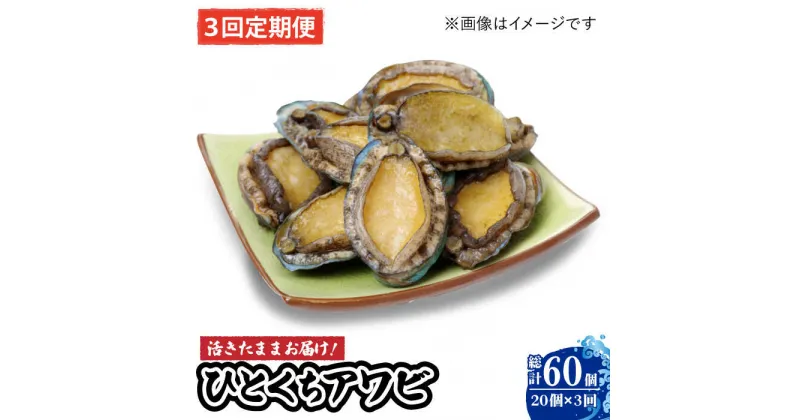 【ふるさと納税】【全3回定期便】【活きたままお届け！】 上五島産 養殖 ひとくち アワビ 厳選 20個【豊建設株式会社】 [RAE006]