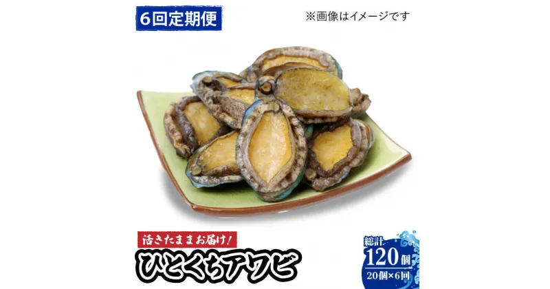 【ふるさと納税】【全6回定期便】【活きたままお届け！】 上五島産 養殖 ひとくち アワビ 厳選 20個【豊建設株式会社】 [RAE007]