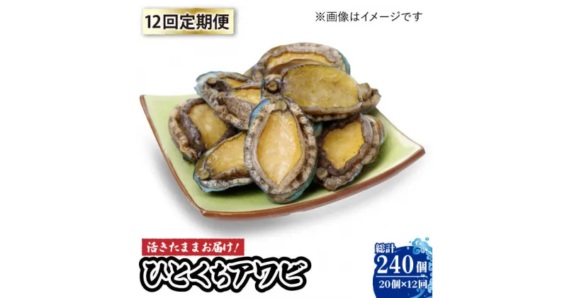 【ふるさと納税】【全12回定期便】【活きたままお届け！】 上五島産 養殖 ひとくち アワビ 厳選 20個【豊建設株式会社】 [RAE008]