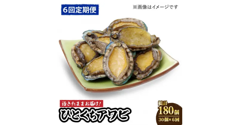 【ふるさと納税】【全6回定期便】【活きたままお届け！】 上五島産 養殖 ひとくち アワビ 厳選 30個【豊建設株式会社】 [RAE010]