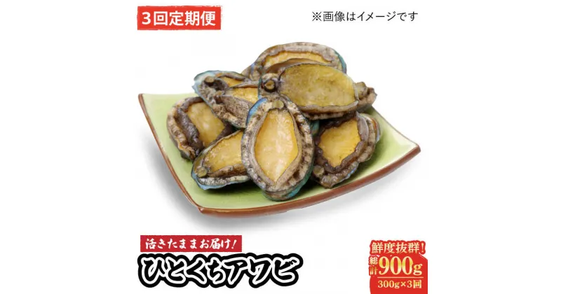 【ふるさと納税】【全3回定期便】【活きたままお届け！】 上五島産 養殖 ひとくち アワビ 厳選 300g【豊建設株式会社】 [RAE015]