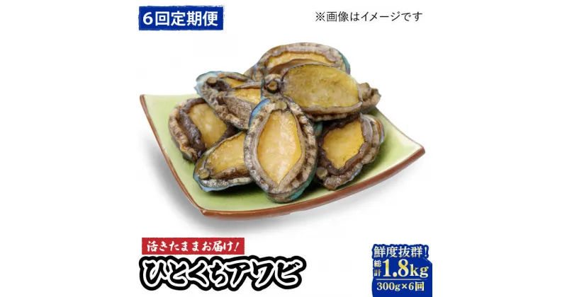 【ふるさと納税】【全6回定期便】【活きたままお届け！】 上五島産 養殖 ひとくち アワビ 厳選 300g【豊建設株式会社】 [RAE016]