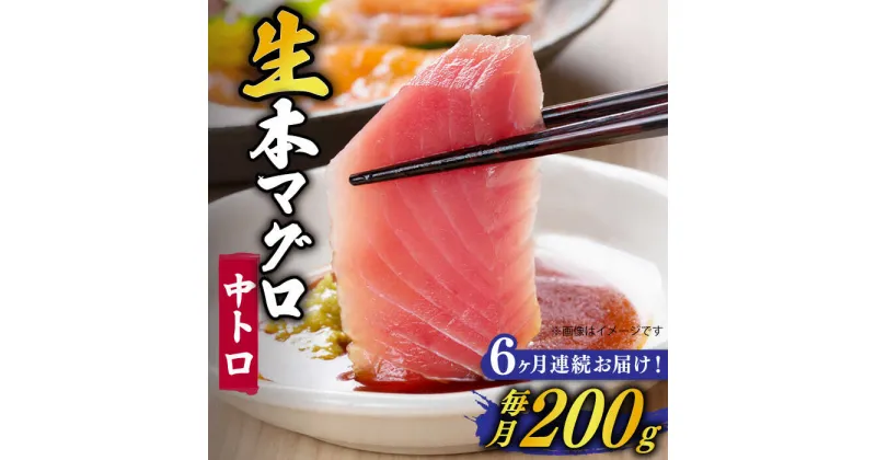 【ふるさと納税】【全6回定期便】【ながさき水産業大賞受賞の新鮮なマグロを冷蔵でお届け！！】 五島列島産 養殖 生本かみまぐろ 中トロ 200g【カミティバリュー】 [RBP027]