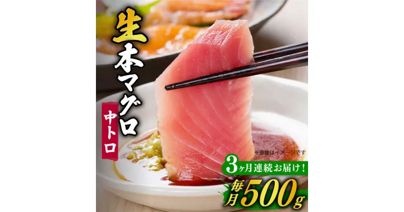 【ふるさと納税】【全3回定期便】【ながさき水産業大賞受賞！！】 五島列島産 養殖 生本かみまぐろ 中トロ ブロック 500g【カミティバリュー】 [RBP064]