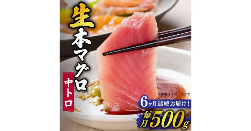 【ふるさと納税】【全6回定期便】【ながさき水産業大賞受賞！！】 五島列島産 養殖 生本かみまぐろ 中トロ ブロック 500g【カミティバリュー】 [RBP065]