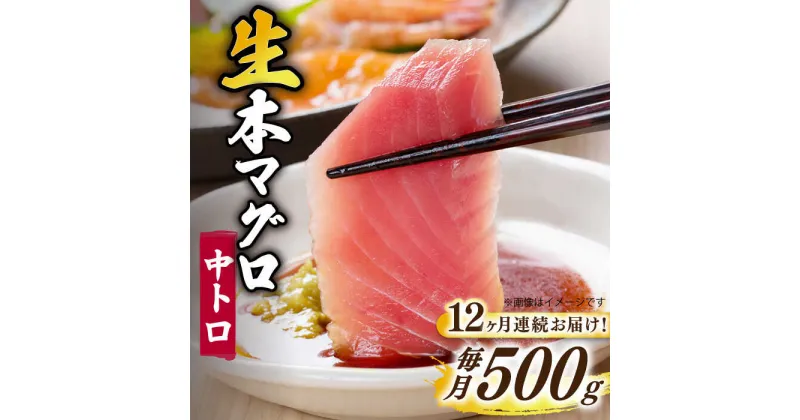 【ふるさと納税】【全12回定期便】【ながさき水産業大賞受賞！！】 五島列島産 養殖 生本かみまぐろ 中トロ ブロック 500g【カミティバリュー】 [RBP066]