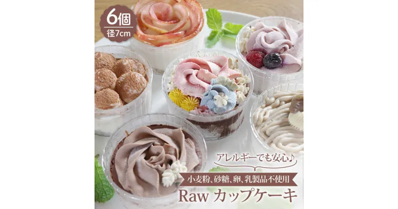 【ふるさと納税】【小麦粉、砂糖、卵、乳製品不使用！】Raw カップケーキ 6個 カップ ケーキ スイーツ お菓子 菓子 ギフト 【holoholo】 [RAZ004]