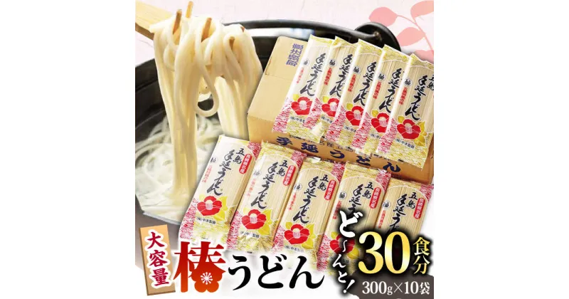 【ふるさと納税】【一番コシの強い！】椿 うどん 300g×10袋 五島うどん 保存食 うどん 麺 乾麺 椿 つばき あご あごだし 出汁 だし 大容量 めん うどん 【中本製麺】 [RAO013]