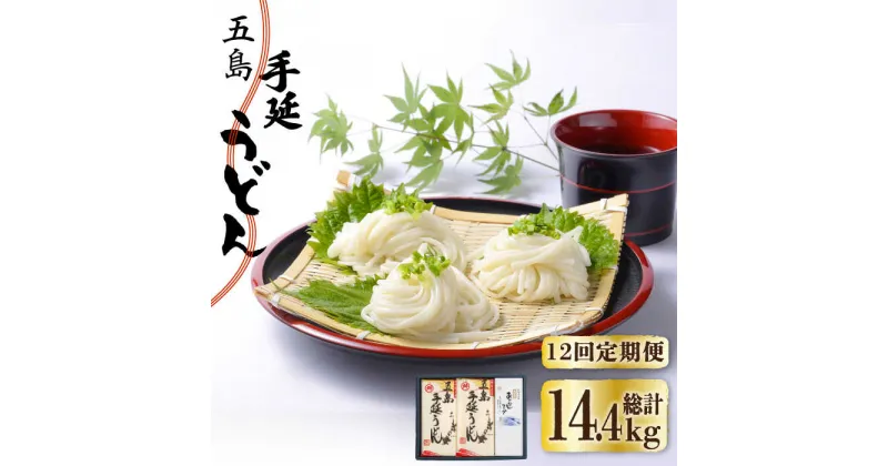 【ふるさと納税】【全12回定期便】五島手延うどん 240g×5袋 あごだしスープ付 / 五島うどん 新上五島町【マルマス】 [RAX022]