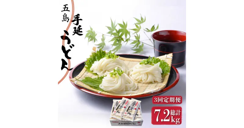 【ふるさと納税】【全3回定期便】五島手延うどん 240g（80g×3束）×10袋 スープ付 / 五島うどん 新上五島町【マルマス】 [RAX023]