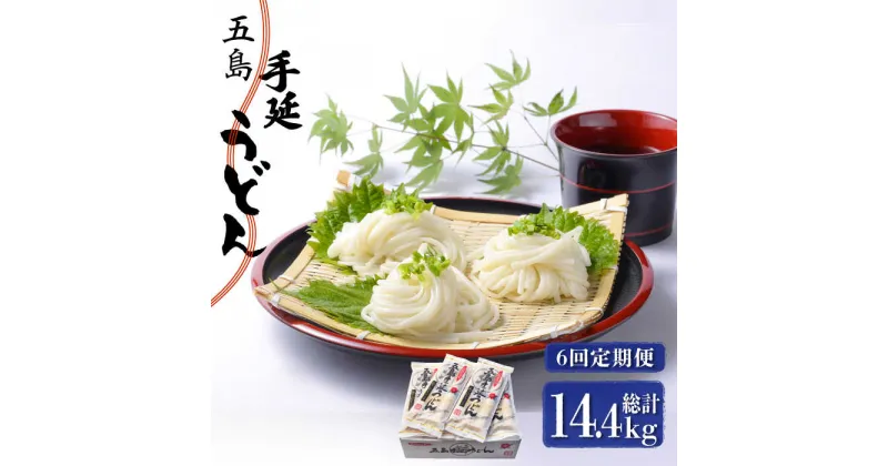 【ふるさと納税】【全6回定期便】五島手延うどん 240g（80g×3束）×10袋 スープ付 / 五島うどん 新上五島町【マルマス】 [RAX024]