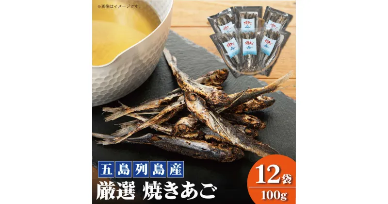 【ふるさと納税】【五島列島産】 厳選 焼きあご 100g×12袋【新魚目町漁業協同組合】 [RBC004]