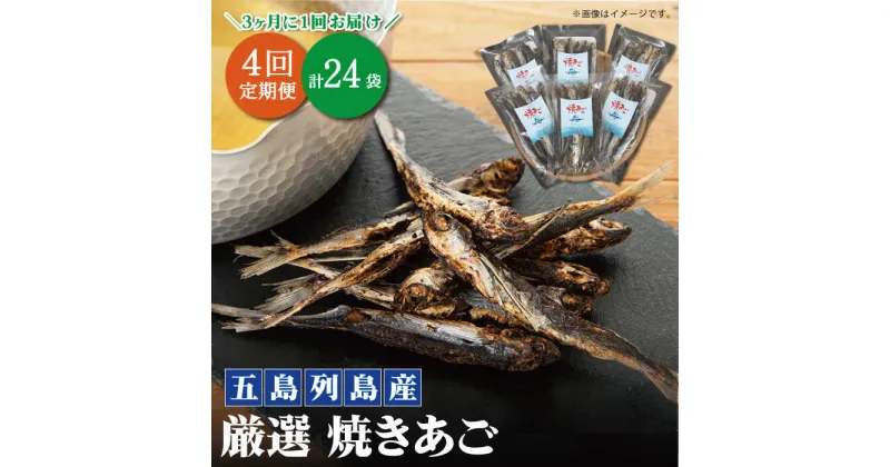 【ふるさと納税】【年4回定期便】3ヶ月に1回お届け！ 厳選 焼きあご 100g×6袋【新魚目町漁業協同組合】 [RBC006]