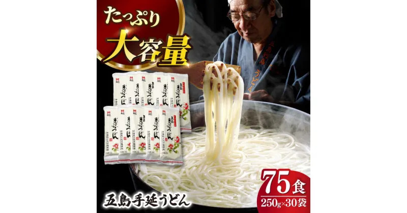 【ふるさと納税】【人気商品の大容量◎】 五島手延うどん 250g×30袋 大容量 業務用 常備用 麺 五島うどん 【ますだ製麺】 [RAM028]