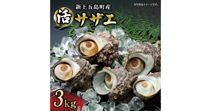 【ふるさと納税】【コリコリ食感と濃厚な旨味！】 新上五島町産 新鮮 活サザエ 3kg【カミティバリュー】 [RBP020]