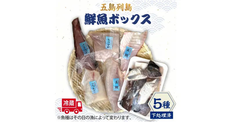 【ふるさと納税】【下処理済】【冷蔵】 五島列島 鮮魚ボックス 5種 【ShiningFoods】 [RBR001]