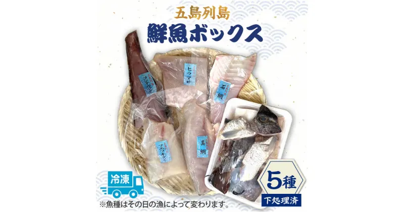 【ふるさと納税】【下処理済】【冷凍】 五島列島 鮮魚ボックス 5種 【ShiningFoods】 [RBR002]