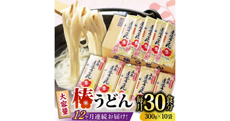 【ふるさと納税】【全12回定期便】【一番コシの強い！】椿 うどん 300g×10袋 五島うどん 保存食 五島うどん うどん 椿 つばき 麺 あごだし コシ 手作り 名物 小分け 大容量 プレゼント 【中本製麺】 [RAO018]