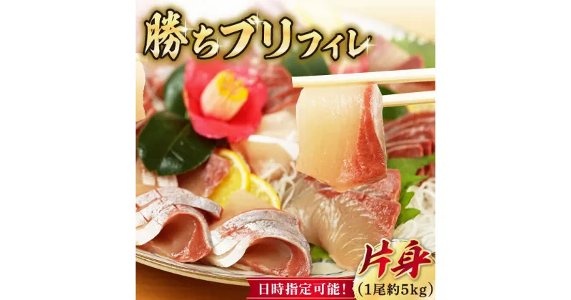 【ふるさと納税】【2025年1月・2月・3月配送】【着日指定必須】 養殖 勝ち ブリ 片身 フィレ 魚 海鮮 鮮魚 刺身 海鮮丼 新鮮 国産 海産物 魚介 鰤 ぶり ブリ しゃぶしゃぶ ブリしゃぶ ぶりしゃぶ （1尾5kg程度の片身）【カミティバリュー】 [RBP087]